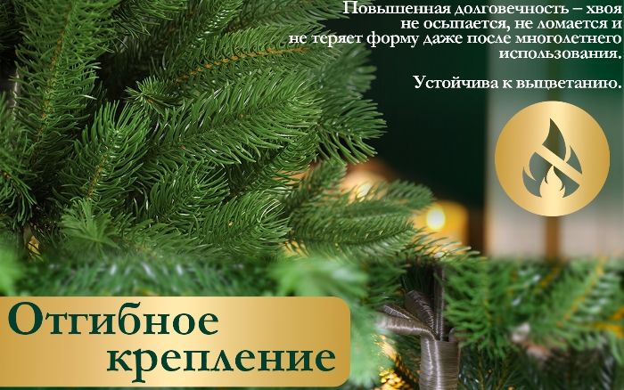 настольные 3.jpg настольные 3.jpg